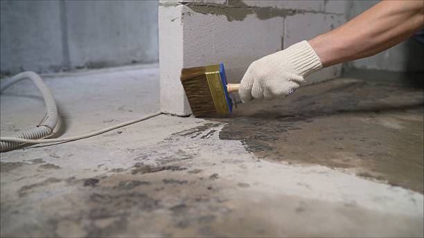 SJ Waterproofing Pros Basement Waterproofing coverage map for Bridgeport, AL and surrounding area